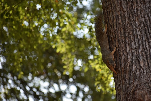 竞争格局下 竞争格局下