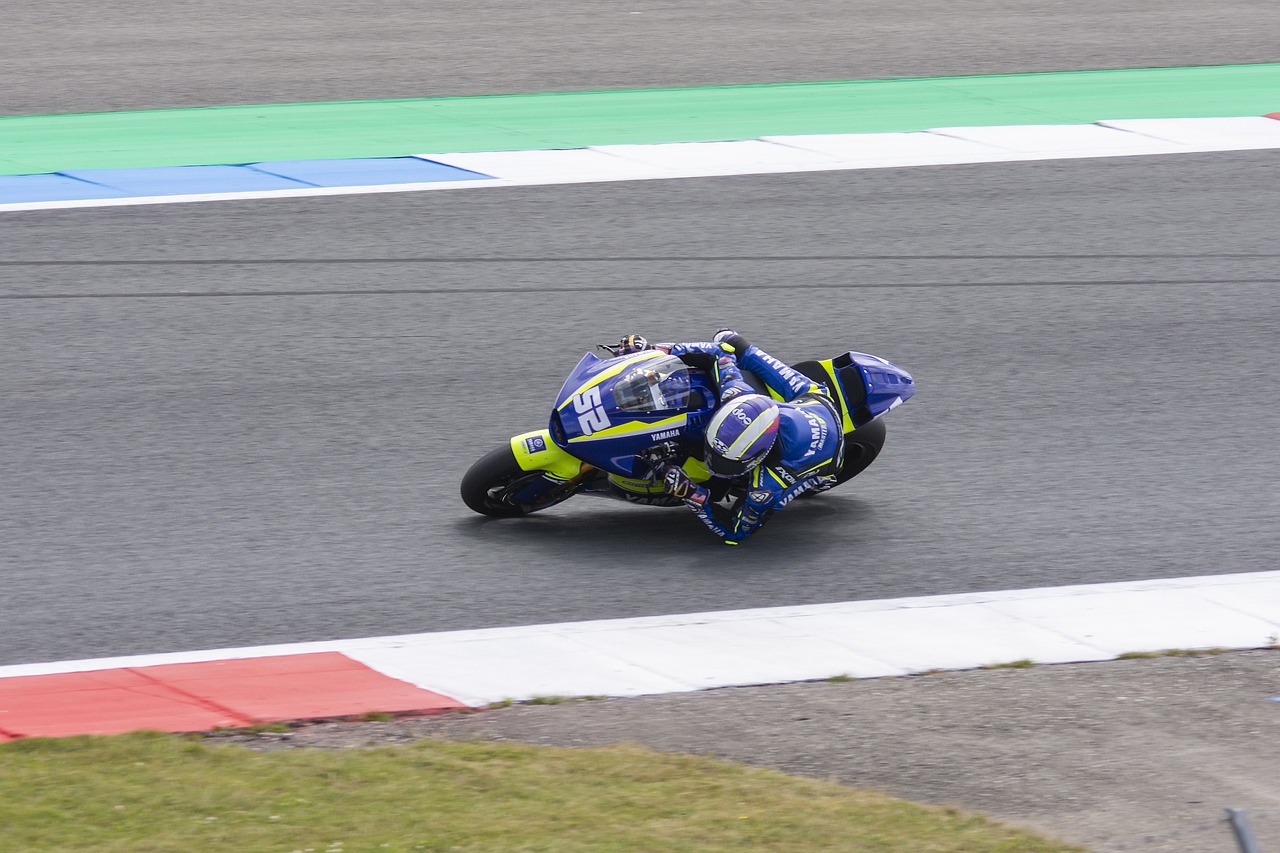 的出色发挥 的出色发挥