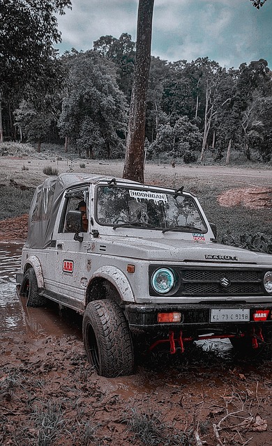 历史与新目 历史与新目