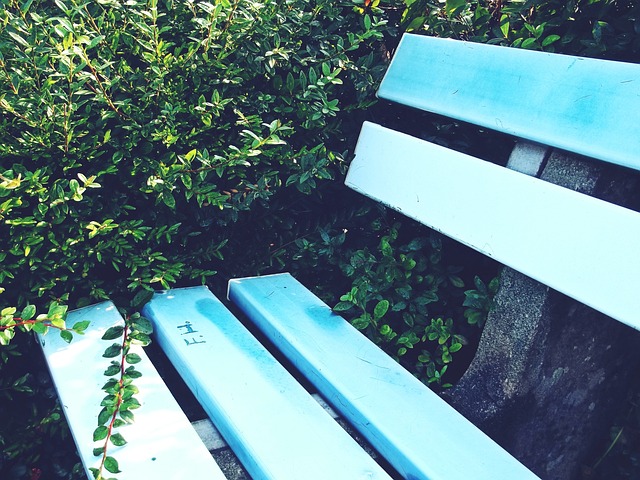 这个寒假更多孩子动起来了!中小学生体育锻炼蔚然成风.