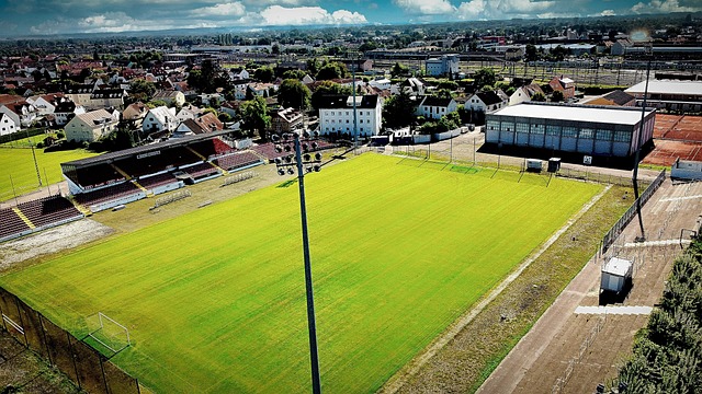 郵報：阿森納簽下弗拉霍維奇需5800萬鎊轉會費.