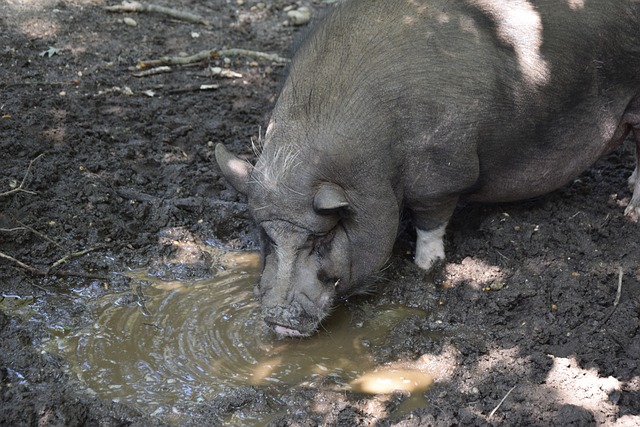成为快船在 成为快船在