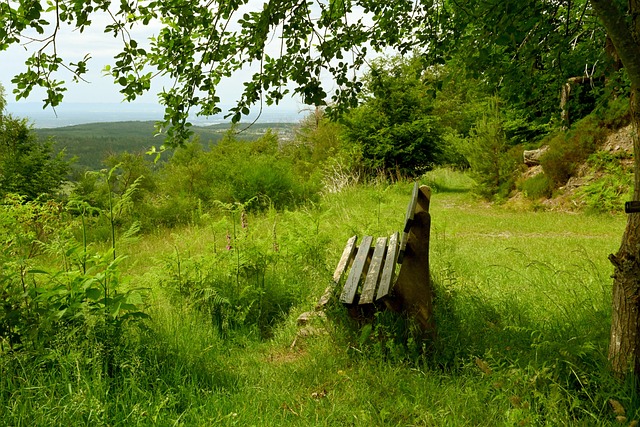 了显著效果 了显著效果
