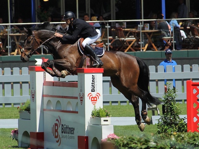 情绪释放方 情绪释放方